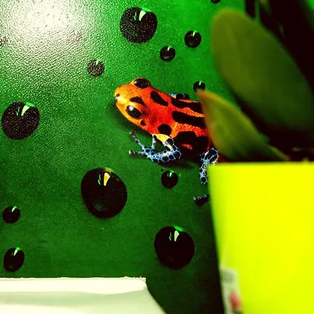 Affittacamere Pavia 게스트하우스 3*